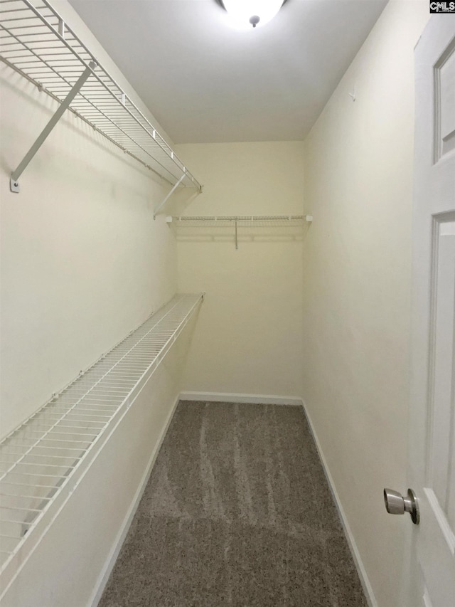 spacious closet with carpet