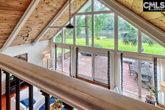 detailed view of wooden ceiling