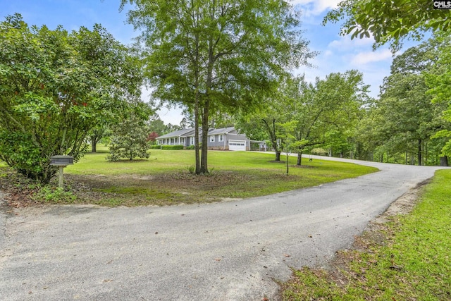 view of asphalt driveway