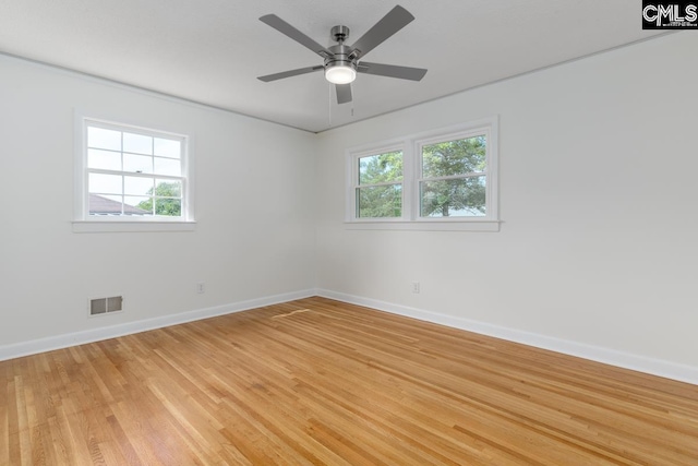 3901 Overdale Dr, Columbia, SC 29223 - spare room with baseboards, plenty of natural light, and light wood-type flooring