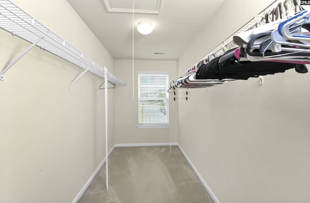 315 Merus Dr, Lexington, SC 29072 - spacious closet with attic access and light carpet