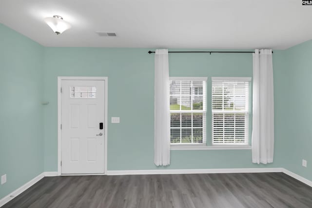 315 Merus Dr, Lexington, SC 29072 - entrance foyer featuring wood finished floors and baseboards