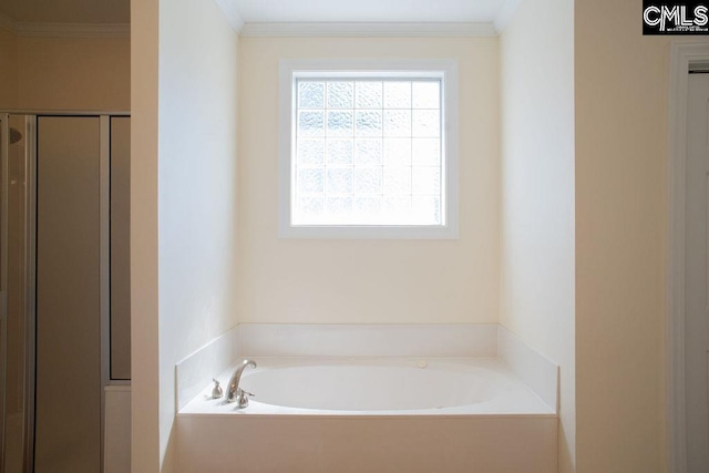 bathroom with plenty of natural light, a stall shower, a garden tub, and ornamental molding