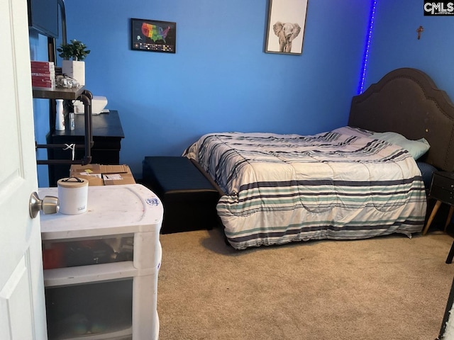 bedroom with carpet floors