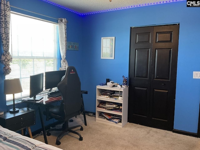 office space with carpet floors
