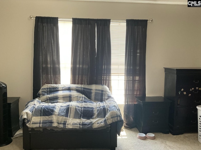 bedroom featuring carpet floors