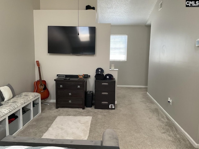 carpeted living area featuring baseboards and a textured ceiling
