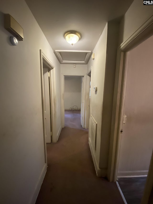 170 Brookland Cir, Columbia, SC 29204 - hallway featuring attic access and carpet floors