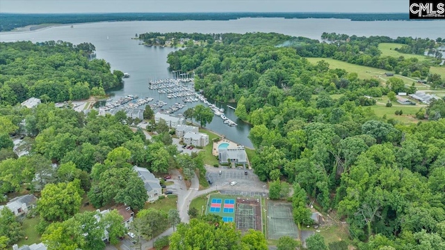 view of property location with a large body of water and numerous boat docks