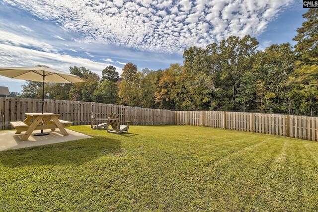 165 Wahoo Cir, Irmo, SC 29063 - view of yard featuring a patio