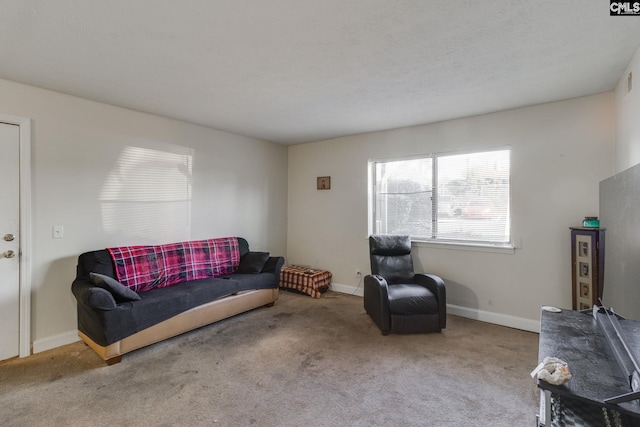 1313 Old Manor Rd, Columbia, SC 29210 - living room with carpet floors and baseboards
