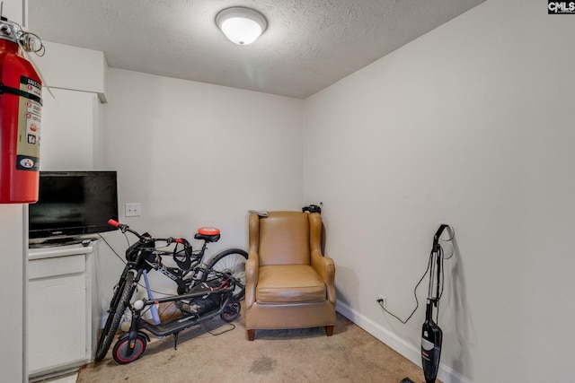 1313 Old Manor Rd, Columbia, SC 29210 - living area featuring light carpet, baseboards, and a textured ceiling