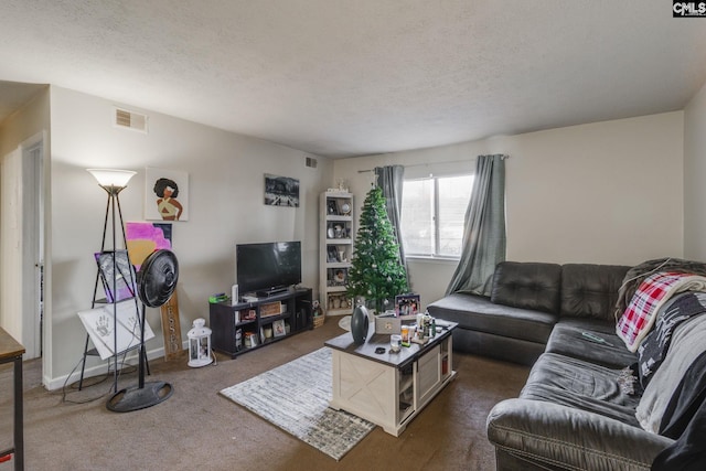 1302 Old Manor Rd, Columbia, SC 29210 - living area with dark carpet, a textured ceiling, and baseboards