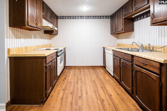 kitchen featuring white appliances, under cabinet range hood, light wood finished floors, dark brown cabinets, and a textured ceiling