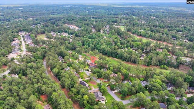 bird's eye view of a forest