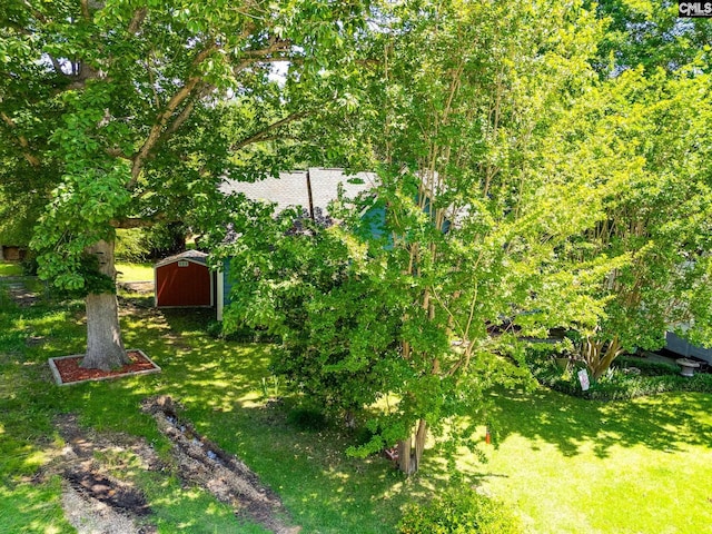 view of grassy yard with a shed and an outdoor structure