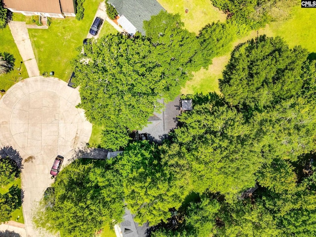 aerial view