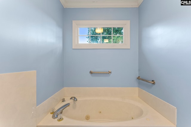 412 White Birch Cir, Columbia, SC 29223 - bathroom with a whirlpool tub and ornamental molding