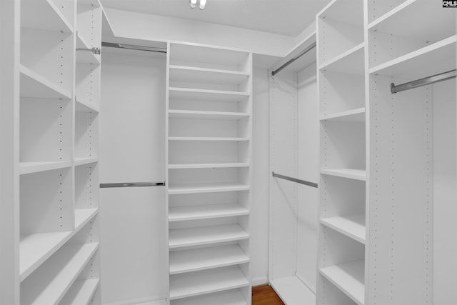 731 Trafalgar Dr, Columbia, SC 29210 - view of spacious closet