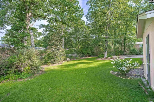731 Trafalgar Dr, Columbia, SC 29210 - view of green lawn