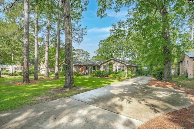 731 Trafalgar Dr, Columbia, SC 29210 - ranch-style home featuring a front lawn and driveway