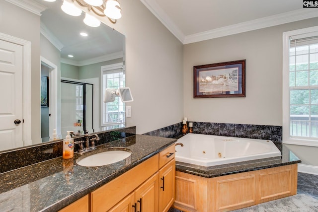 570 Wateree Key Ct, Winnsboro, SC 29180 - full bath featuring a shower stall, plenty of natural light, a tub with jets, ornamental molding, and vanity