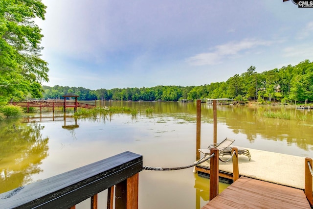 570 Wateree Key Ct, Winnsboro, SC 29180 - dock featuring a water view and a forest view