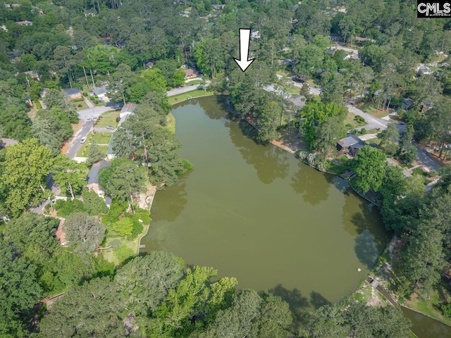 3102 Travis Ct, Columbia, SC 29204 - view of property location featuring a large body of water
