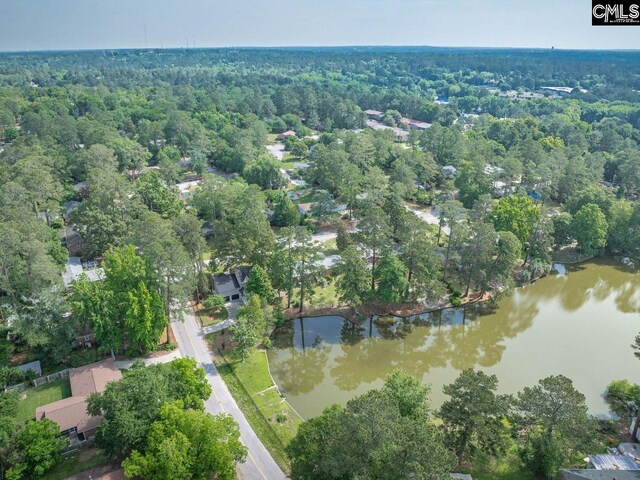 3102 Travis Ct, Columbia, SC 29204 - aerial view of property's location with a large body of water and a forest