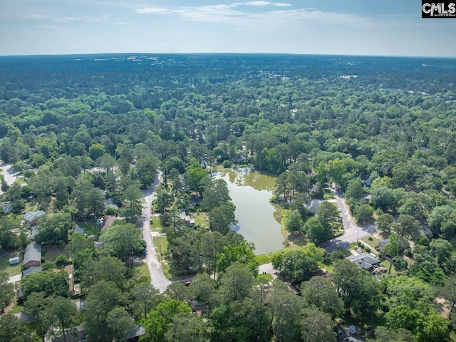3102 Travis Ct, Columbia, SC 29204 - view of property location with a heavily wooded area and a nearby body of water