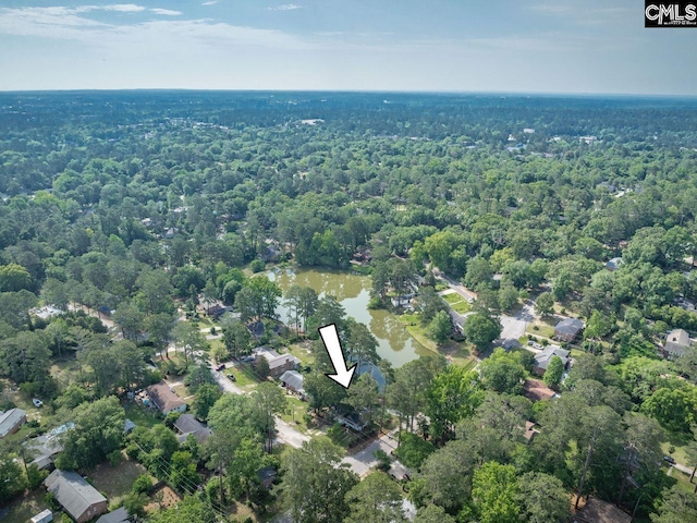 3102 Travis Ct, Columbia, SC 29204 - aerial overview of property's location featuring a forest and a large body of water
