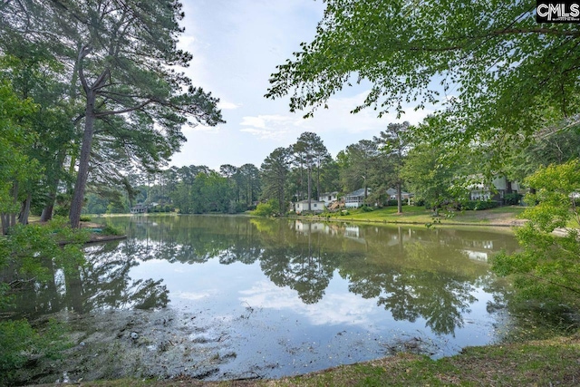 3102 Travis Ct, Columbia, SC 29204 - water view
