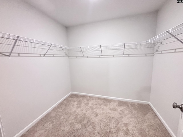 407 Eclipse Ln, Elgin, SC 29045 - spacious closet featuring carpet