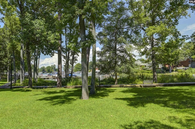 301 Harbor Heights Dr Unit 5D, Lexington, SC 29072 - view of community featuring a yard