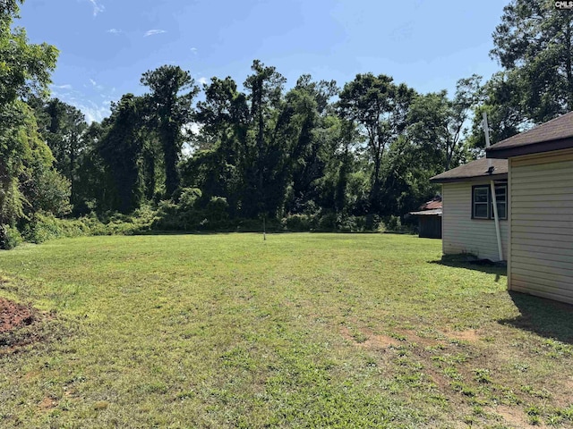 382 Fagan Rd, Winnsboro, SC 29180 - view of green lawn