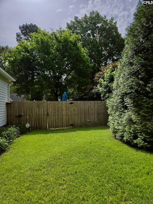 view of yard