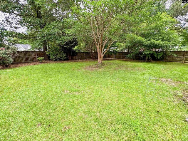 31 Scarlett Ln, Camden, SC 29020 - view of yard