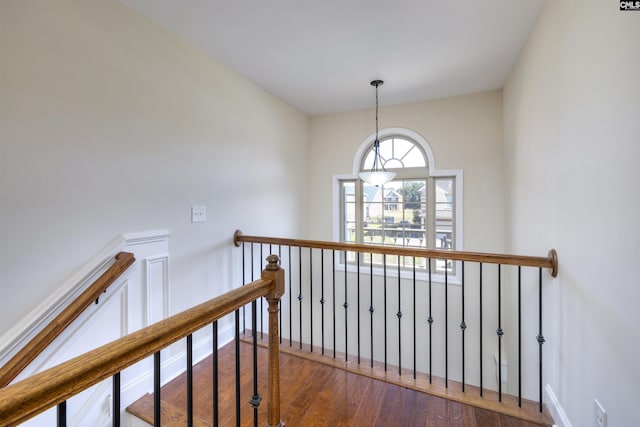 680 Curlew Cir, Sumter, SC 29150 - staircase with wood finished floors