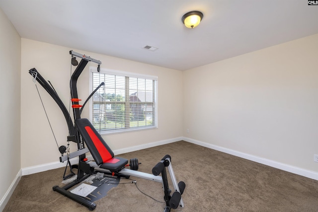 680 Curlew Cir, Sumter, SC 29150 - exercise area with carpet floors and baseboards