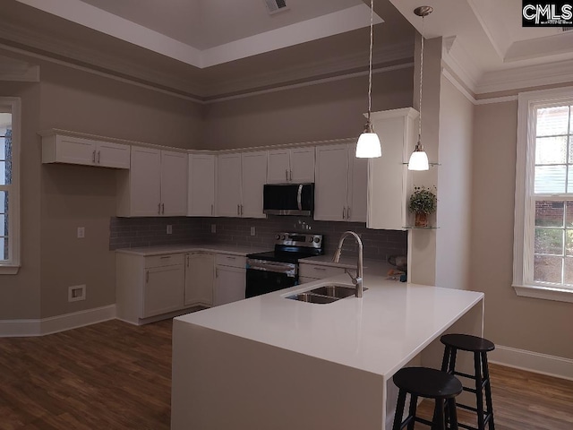 10 Saints Creek Pl, Irmo, SC 29063 - kitchen featuring stainless steel appliances, a sink, a peninsula, baseboards, and white cabinetry