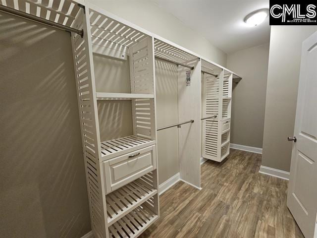 10 Saints Creek Pl, Irmo, SC 29063 - walk in closet with wood finished floors
