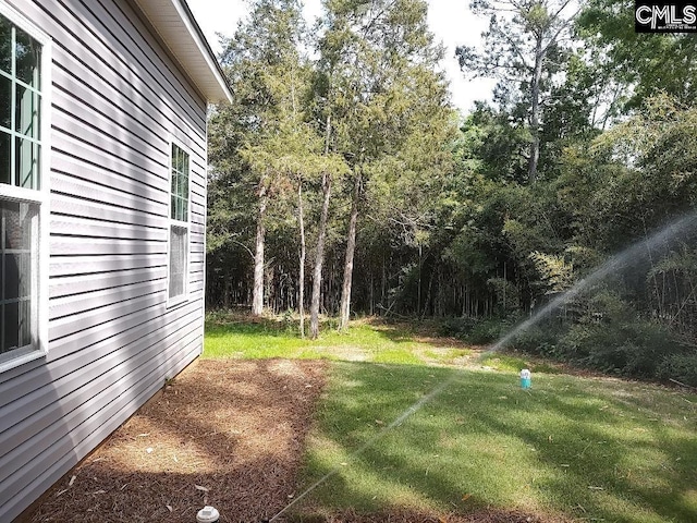 10 Saints Creek Pl, Irmo, SC 29063 - view of green lawn