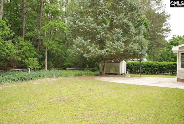 view of yard featuring a storage unit, an outbuilding, and a patio