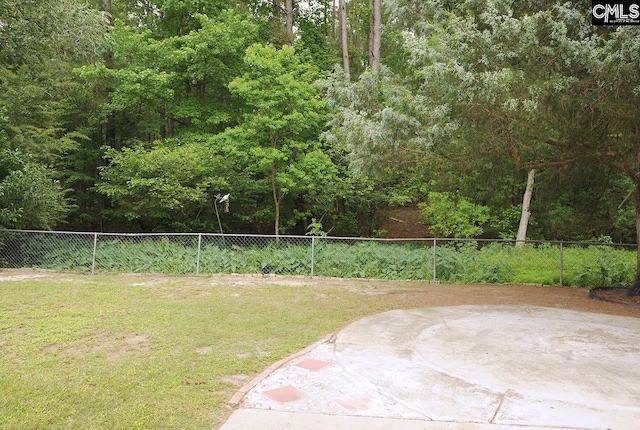 view of yard featuring a patio