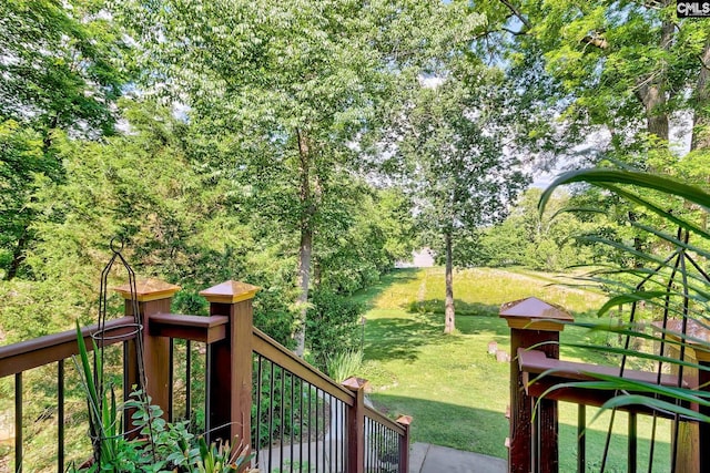 109 Broad Bluff Pt, Irmo, SC 29063 - view of green lawn