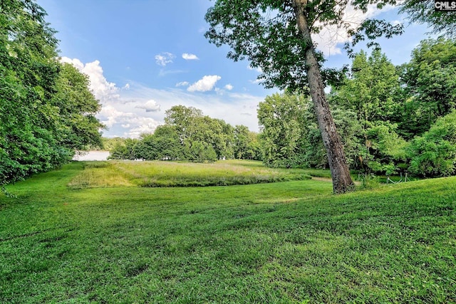 109 Broad Bluff Pt, Irmo, SC 29063 - view of grassy yard