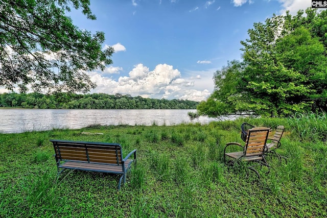 109 Broad Bluff Pt, Irmo, SC 29063 - water view with a forest