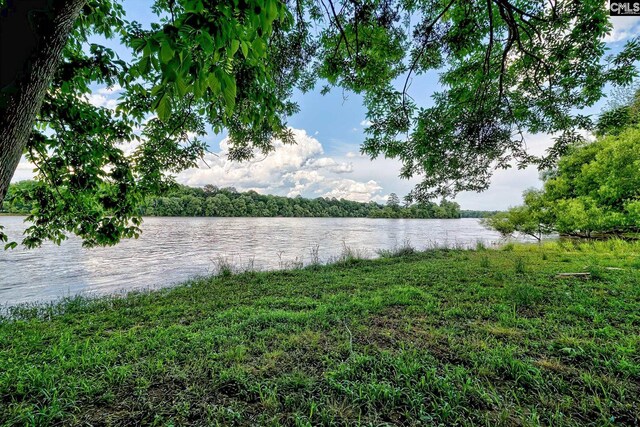 109 Broad Bluff Pt, Irmo, SC 29063 - water view