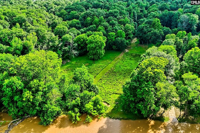 109 Broad Bluff Pt, Irmo, SC 29063 - bird's eye view of a large body of water