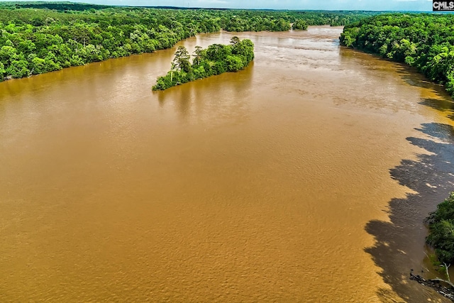 109 Broad Bluff Pt, Irmo, SC 29063 - aerial view of a nearby body of water